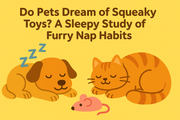 “Do Pets Dream of Squeaky Toys? A Sleepy Study of Furry Nap Habits”