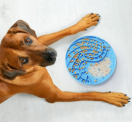 Whale-Shaped Suction Slow Feeder Bowl – Lick Mat for Dogs & Cats