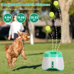 ThePawtale interactive dog toy designed to relieve anxiety and provide mental stimulation