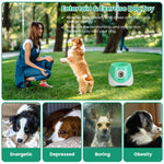 Close-up of the USB-C charging port and battery indicator on ThePawtale dog launcher