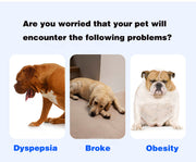 Whale-Shaped Suction Slow Feeder Bowl – Lick Mat for Dogs & Cats