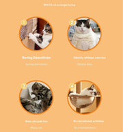 Interactive Duck-Shaped Pet Feeder Toy 🐶🐱 – Slow Eating, Smart Playtime