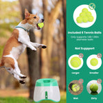 Professional dog agility training equipment featuring ThePawtale automatic ball thrower
