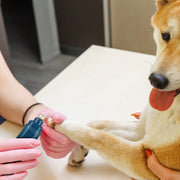 Pro-Series Ultra-Quiet Pet Nail Grinder (2-Speed USB Rechargeable)